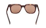 Zegna EZ0248 52E Hot on Sale