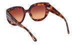 Tom Ford Saltzman FT1192 53F Fashion